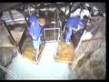 New Zealand Bungee Jump