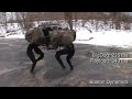 robot animal