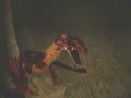 Drakan: Order of the Flame - Ruined village (4) walkthrough
