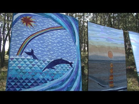 動画