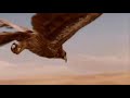 Riders of Doom(Alexander the Great, the Battle of Gaugamela)