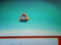 Evolucion de Snorunt a Froslass Evolucion de Snorunt a Froslass
