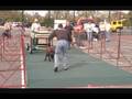 videos de Cane Corso Rocko IWPA Weight Pull 1890 pds