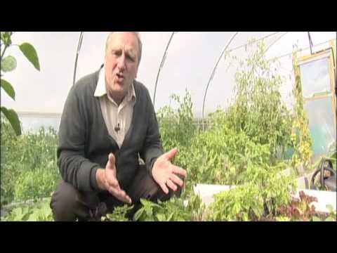 polytunnels - Mother Nature is an amazing thing. But even something so resilient and productive can sometimes use a helping hand....Particularly with our Northern weather....