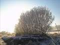 Beyond Light - Eclipsed Sun Path