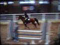 videos de Hope the Wonder Pony - 1st jumper show -Adult Jumper Lvl2 02-08.mpg