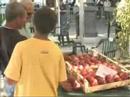 San Ferdinando, giornata di frutticoltura