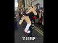 Fursuit Macros Vol.1