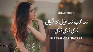 Zari Zari Zari  Slowed+Reverb  Nazia Iqbal  Pashto