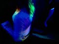 lambada der anderen art