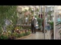 Königin der Blumen: Orchideenschau auf der Erfurter EGA