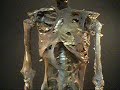 MS DEMO -- CORPSED Bucky Torso with Arms # 2 MS DEMO -- CORPSED Bucky Torso with Arms # 2