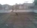videos de 20112008.3gp