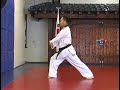 WTF Standard Taekwondo Color Belt Poomsae Vol. 1 / 2007 WTF Standard Taekwondo Color Belt Poomsae Vol. 1 / 2007