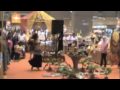 Belly Dance Interaction at Zouk Bazaar