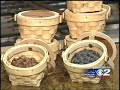 Bubble and Bee on KUTV!