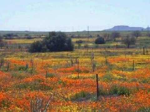 Namaqualand Travel & Tours Photo ...