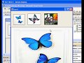 Using Drag and Drop Functionality in VB.net VB2005 VB2008