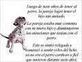 Mi perro fiel_ mi amigo fiel.