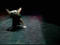 videos de Riflessione