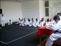 videos de Karate Club 