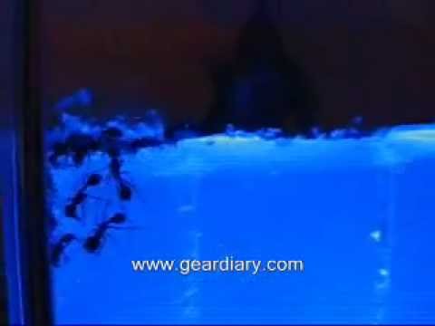 YouTube Preview Image