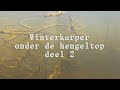 Winterkarper onder water en gevangen.
www.boustails.blogspot.nl