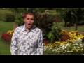 videos de Peter van der Velden 