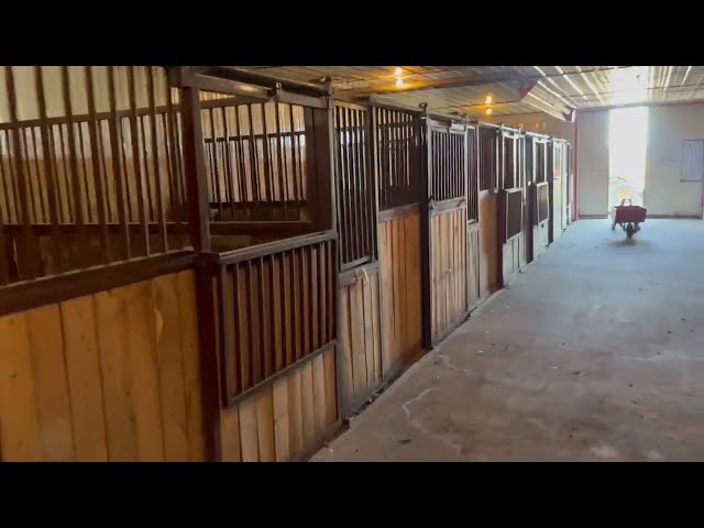 horse stalls 12 horse Stalls in Equestrian & Livestock Accessories in Edmonton