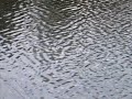 How Great Thou Art How Great Thou Art