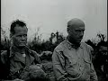 Chesty Puller, Peleliu Marine Dead & Wounded