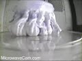 Three Peeps In A Basket...  In A Microwave Oven