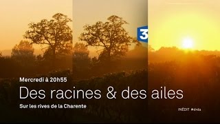 Des Racines et des Ailes: Sur les Rives de la Charente