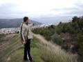 Harris Hawk  -Falconry in Greece.