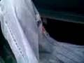 videos de En la chamba