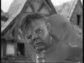 boris variopinto