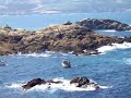 Pescando en la zona de La Torre de Hercules