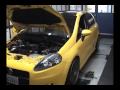 Punto turbo 260 cv