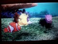 Finding Nemo – Finding Nemo