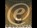 E- Commerce, E- Process, E- Business.