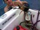 diving in florida with andy
