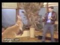 A Vingança dos Animais