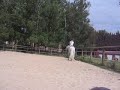 califa my horse califa my horse