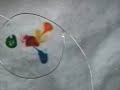 Surface tension of water in microgravity 2