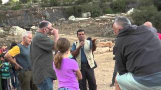 الجولة الكاملة لخربة العمور \ הסיור המלא לח'רבת אלעמוּר \ Tour at Khirbat al-‘Umur - Full video الجولة الكاملة لخربة العمور \ הסיור המלא לח'רבת אלעמוּר \ Tour at Khirbat al-‘Umur - Full video