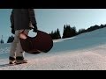 The Elephant in the snow 