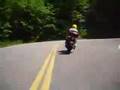 Shady Valley, May 2007, Spyda chasing Creed 1