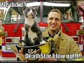 Kitteh Star Wars Kitteh Star Wars