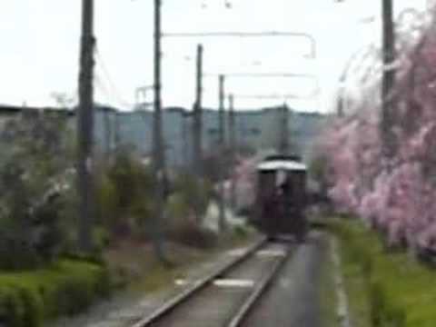 花見にＳＬが