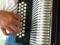 Hohner Panther Accordion Button Box Demonstration/acordeon primer dia